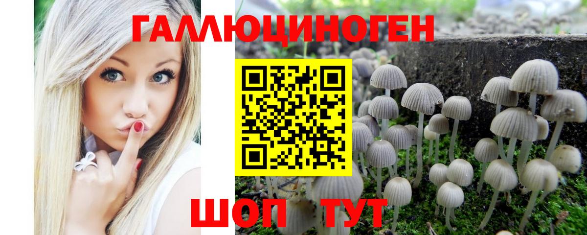 Галлюциногенные грибы Magic Shrooms Егорьевск