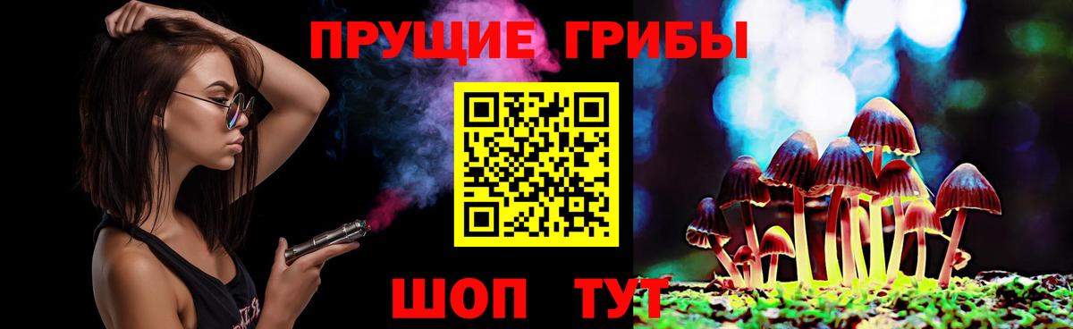 Егорьевск  Галлюциногенные грибы GOLDEN TEACHER  Вход с VPN 