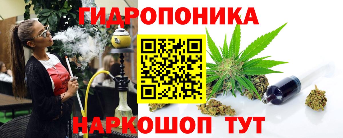Шишки марихуана семена  Бошки Шишки планчик  Марихуана ГИДРОПОН  Вход с VPN  Егорьевск 
